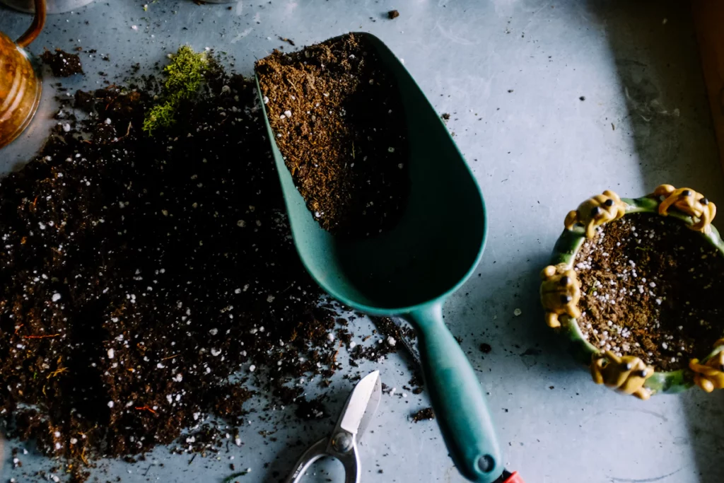 Best Herbs to Grow Indoors Year-Round: An Apartment-Friendly Guide