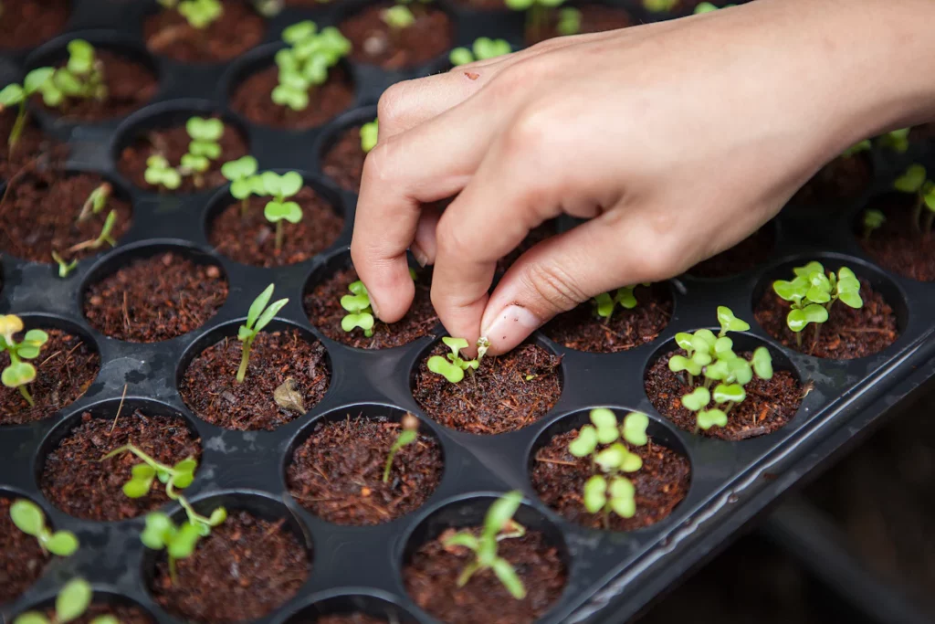 Why Your Vertical Garden Keeps Leaking: Common Causes Explained
