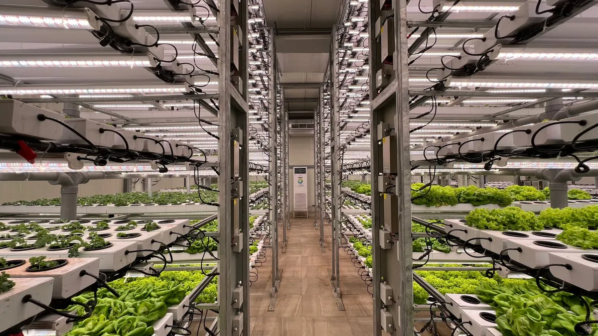 Hydroponic system plumbing and pump