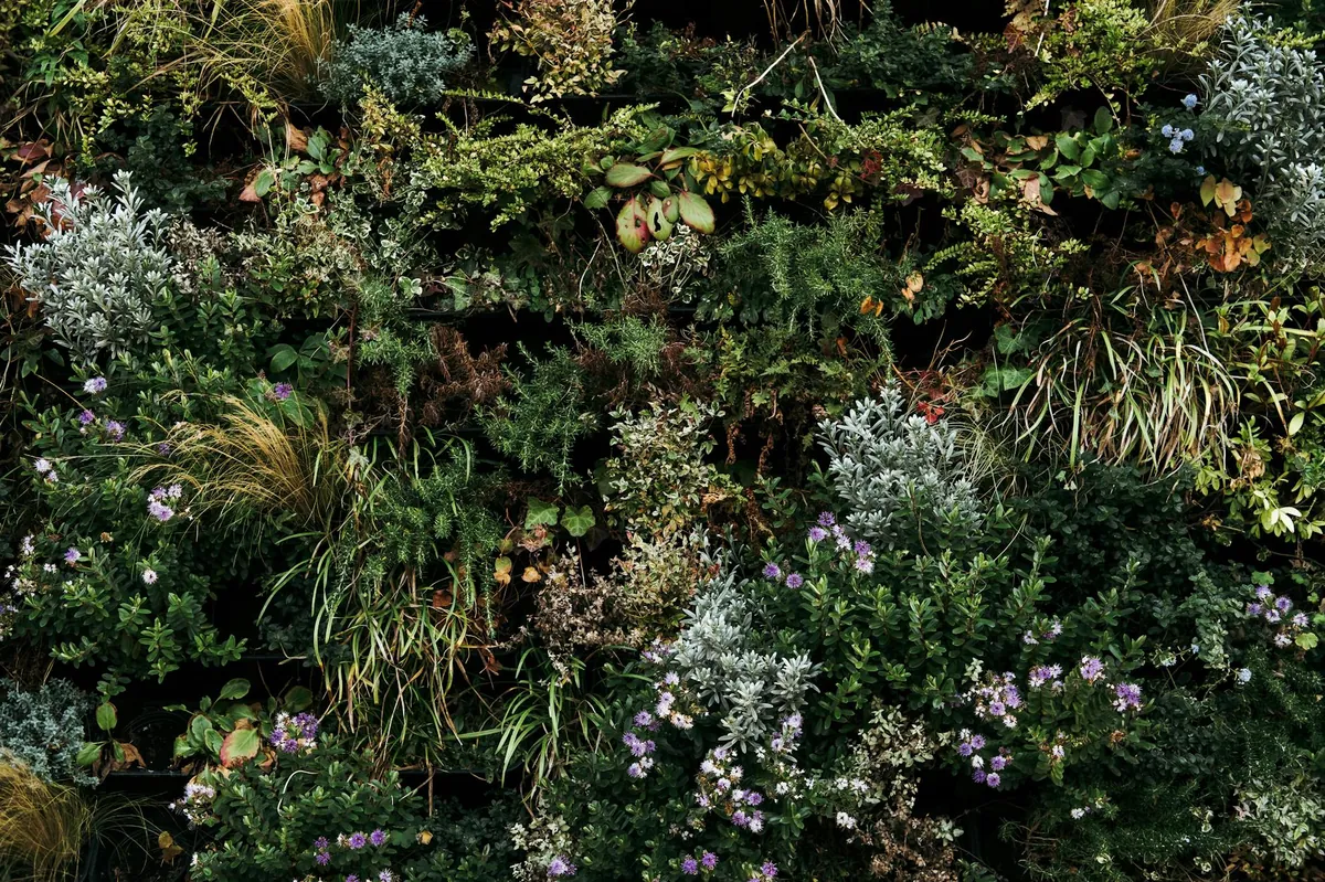 Indoor garden setup with healthy plants