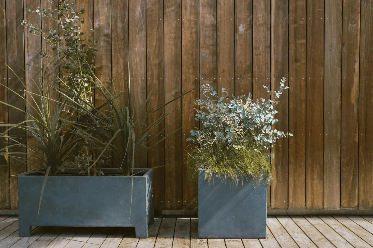 Plant containers with self-watering reservoir