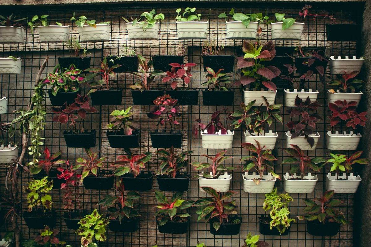 Wall installation of vertical garden system