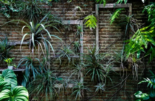 Renter-Proof Vertical Gardens: 7 No-Damage Mounting Ideas