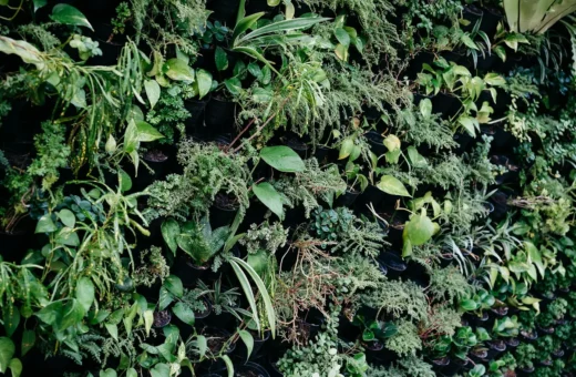 Vertical Garden Odors: Common Causes and Simple Fixes